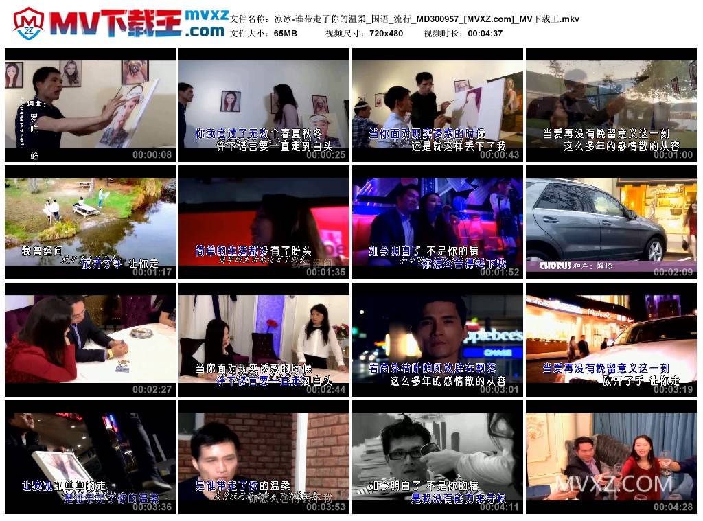 凉冰-谁带走了你的温柔_国语_流行_MD300957